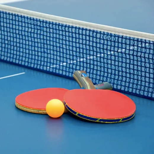 Tennis de Table - Filet + 2 Raquettes